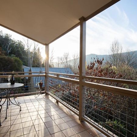 Chestnut Tree Holiday Units Bright Εξωτερικό φωτογραφία