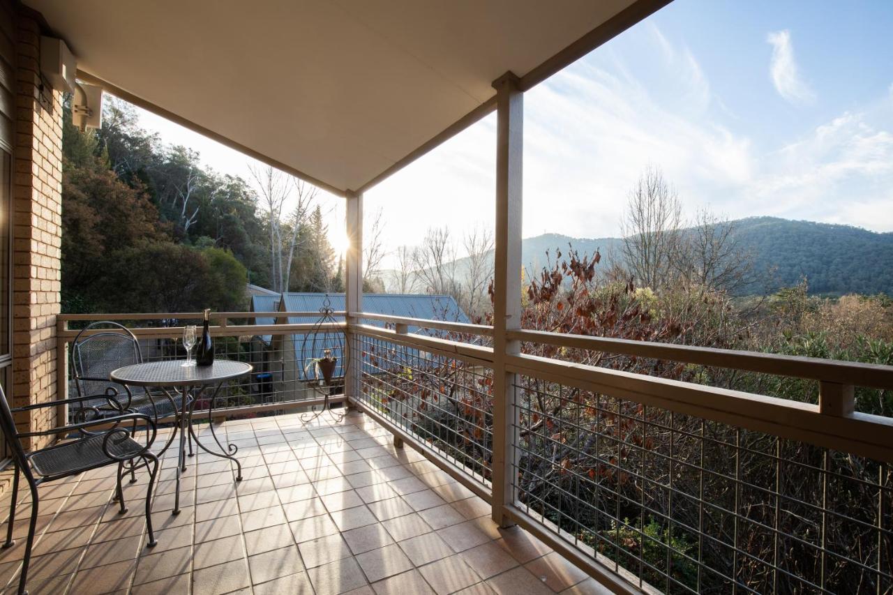 Chestnut Tree Holiday Units Bright Εξωτερικό φωτογραφία