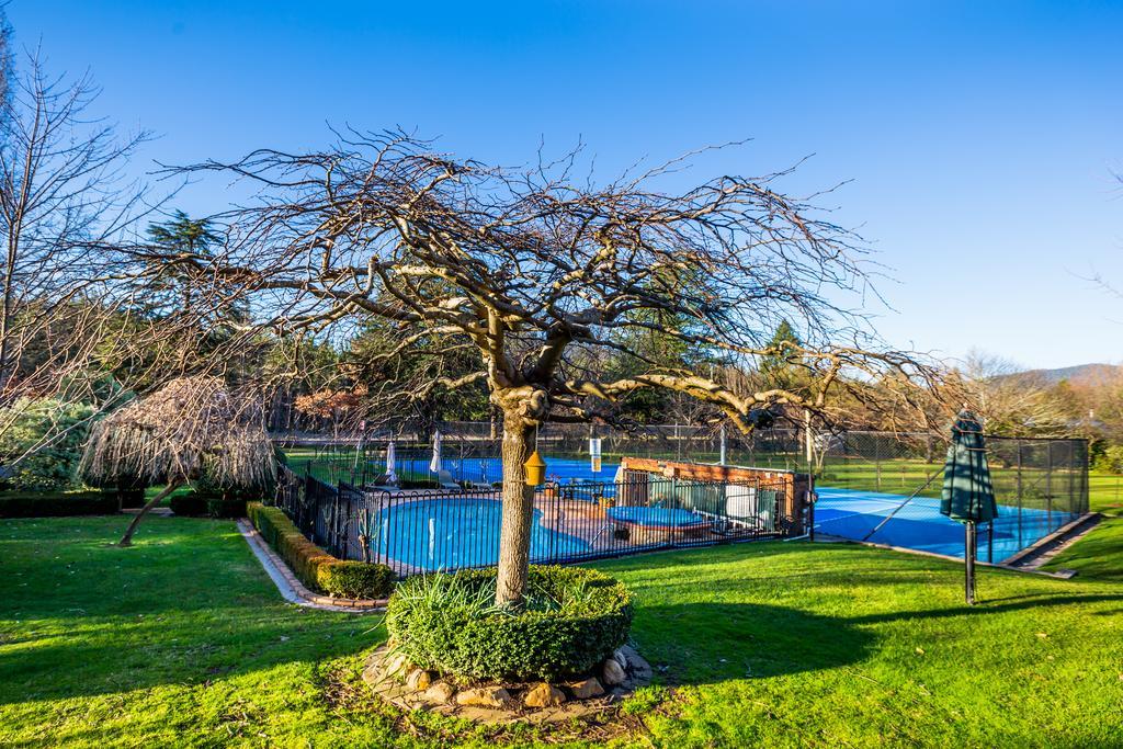 Chestnut Tree Holiday Units Bright Εξωτερικό φωτογραφία